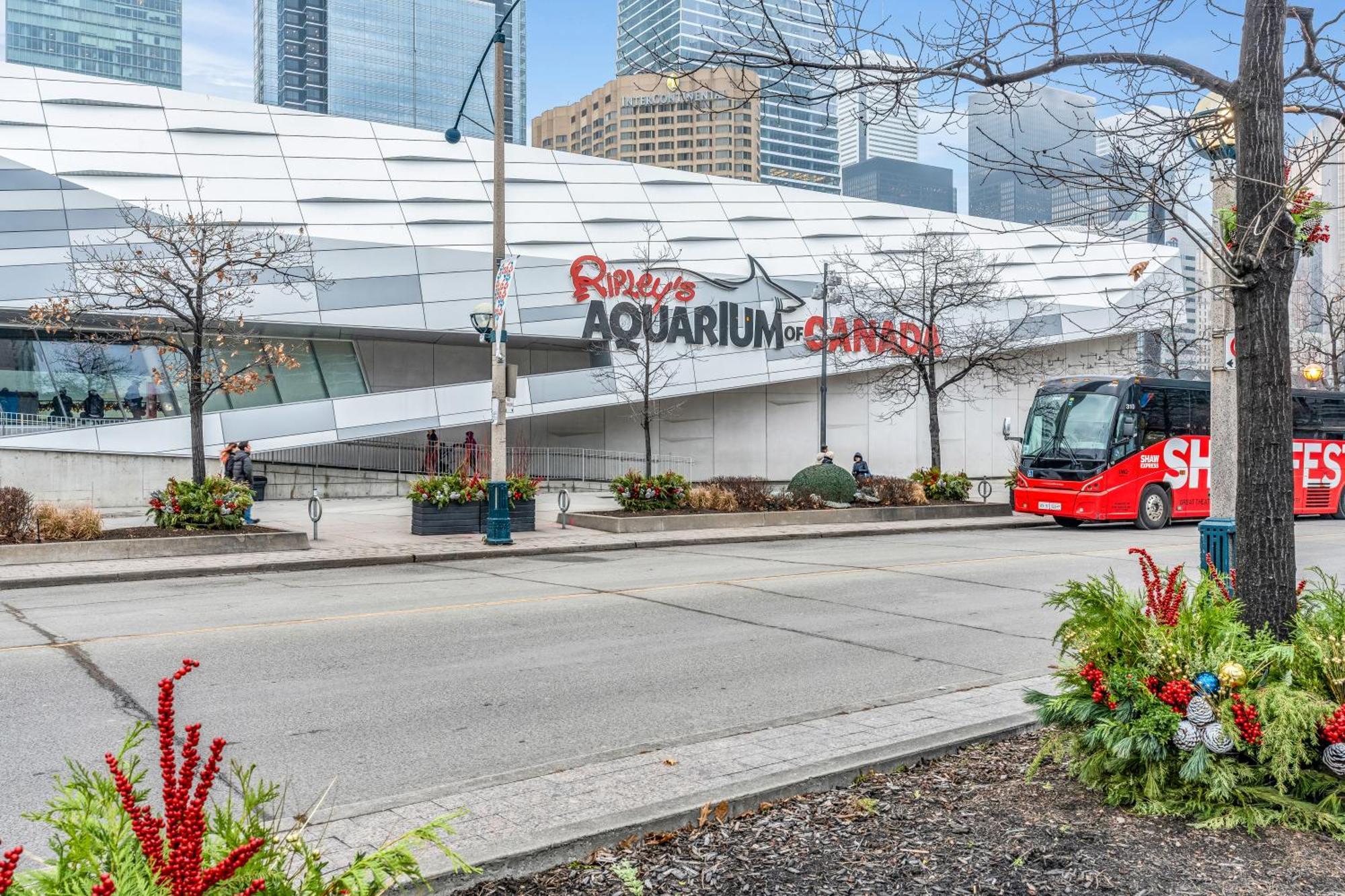Spadina Modern Suites Toronto Esterno foto
